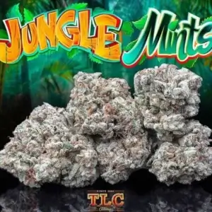 Jungle Boys Mints Kush
