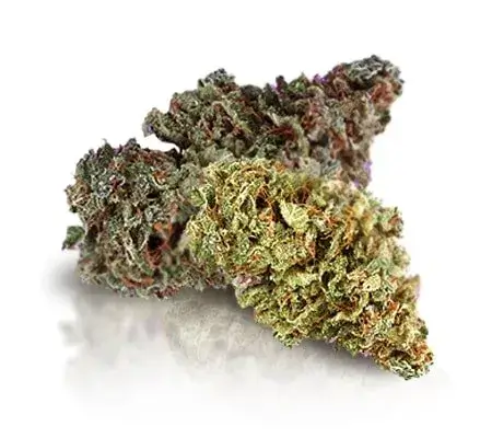 Biscotti Boyz Granddaddy Purple Strain